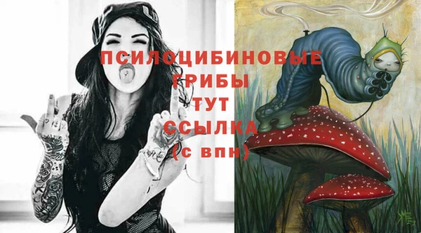 мяу мяу мука Аркадак