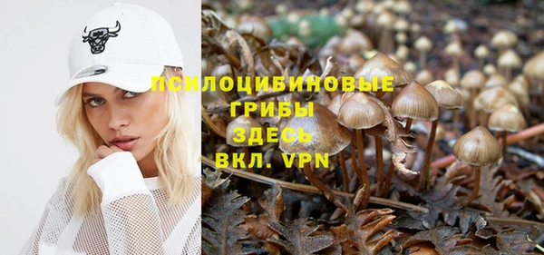 мяу мяу мука Аркадак