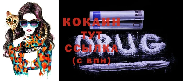 мяу мяу мука Аркадак